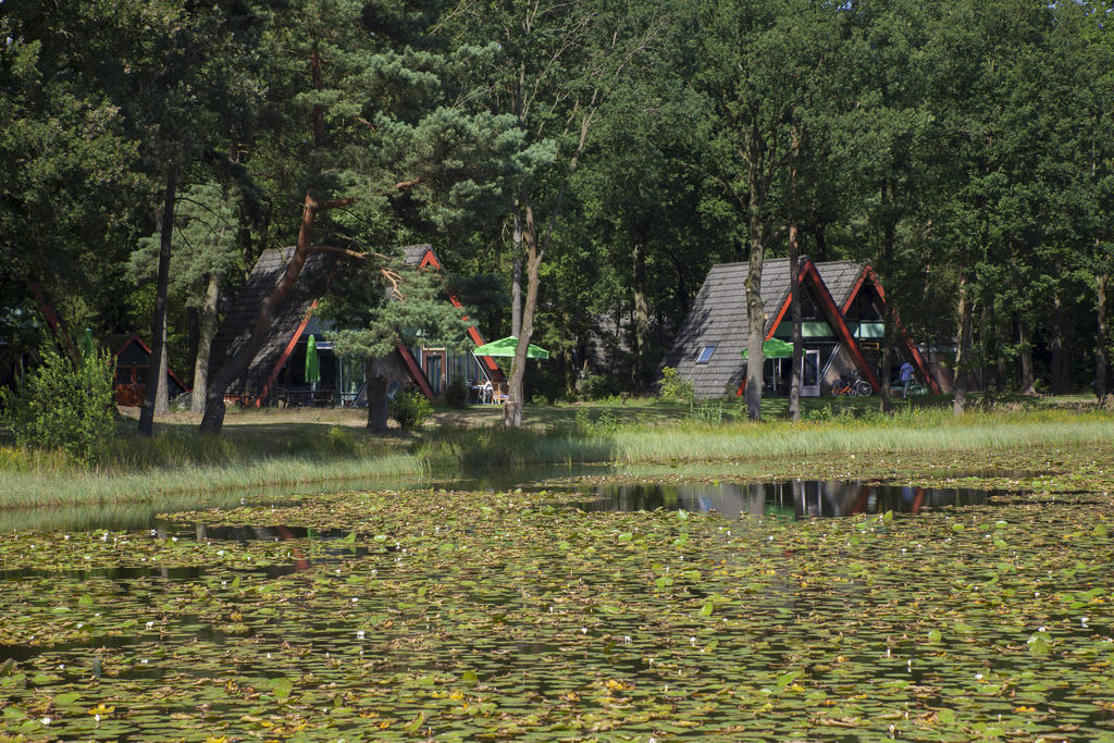 'T Vosseven Vakantiehuizen Stramproy Oda fotoğraf